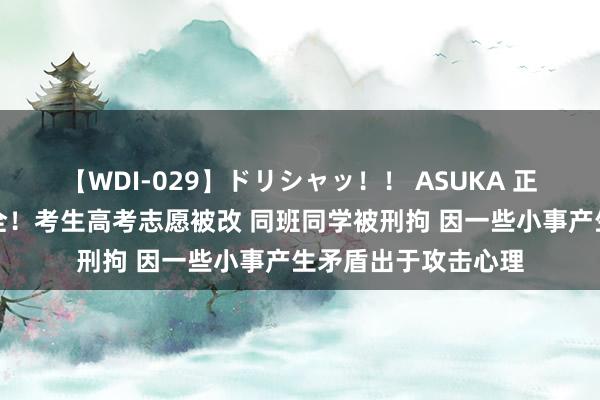 【WDI-029】ドリシャッ！！ ASUKA 正式个东谈主信息安全！考生高考志愿被改 同班同学被刑拘 因一些小事产生矛盾出于攻击心理