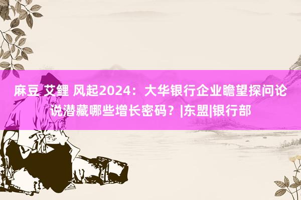 麻豆 艾鲤 风起2024：大华银行企业瞻望探问论说潜藏哪些增长密码？|东盟|银行部