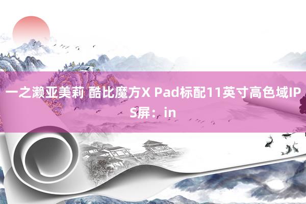 一之濑亚美莉 酷比魔方X Pad标配11英寸高色域IPS屏：in